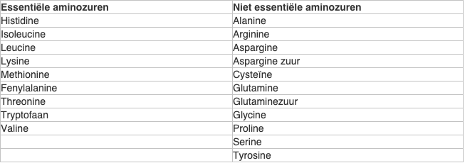 Hoeveel eiwitten (proteïne) heb je per dag nodig? - Changing Life